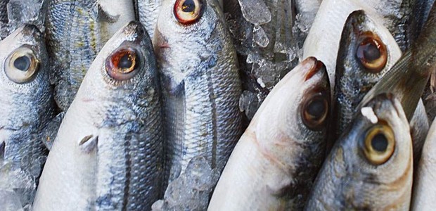 Ανακαλούνται ακατάλληλα κατεψυγμένα ψάρια