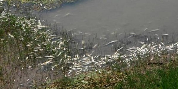 Διπλή παρέμβαση εισαγγελέα για ρύπανση του περιβάλλοντος