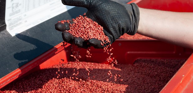 Θεσσαλία: Προβληματισμός για τη σπορά των σιτηρών