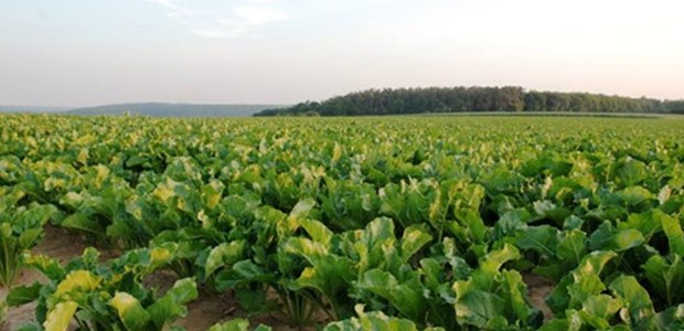 Στον «αέρα» Θεσσαλοί αγρότες 