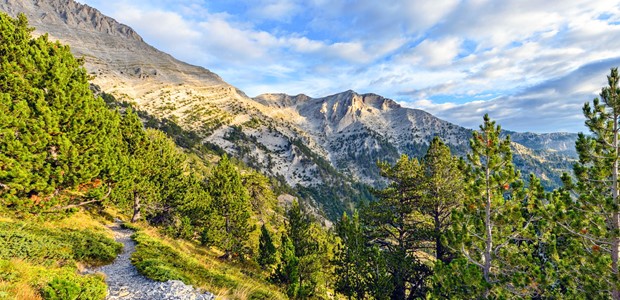 Στο στάδιο της διαβούλευσης το εισιτήριο στον Όλυμπο