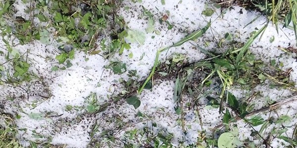 Ζημιές σε καλλιέργειες λόγω χαλαζόπτωσης