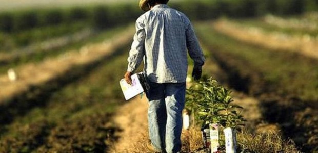 Έναρξη πληρωμών επιλαχόντων νέων γεωργών