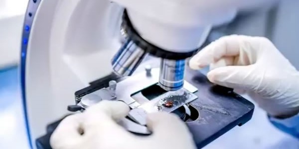 Kατάσταση έκτακτης ανάγκης για την ευλογιά των πιθήκων