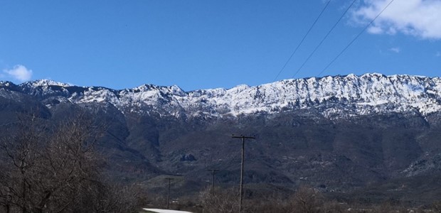 Αξιοποιούνται τα βότανα του όρους Κόζιακας
