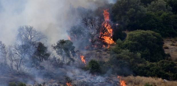 Κάηκαν τέσσερα στρέμματα δασικής έκτασης