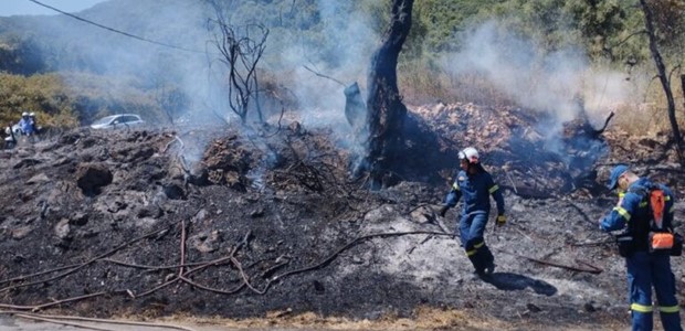 Οριοθετήθηκε η φωτιά σε αγροτοδασική έκταση στην Κοκκινόγη