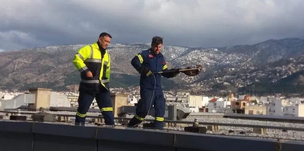 Πυροσβέστες έσωσαν εγκλωβισμένη νυφίτσα