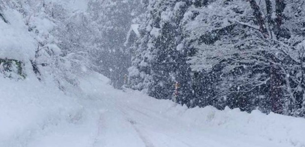 Χιόνισε στα ορεινά της Λάρισας
