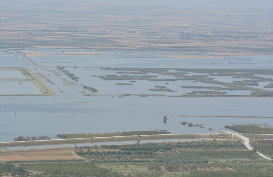 ΕΛΓΑ: Μέχρι 19 Ιουλίου η εξόφληση των αποζημιώσεων