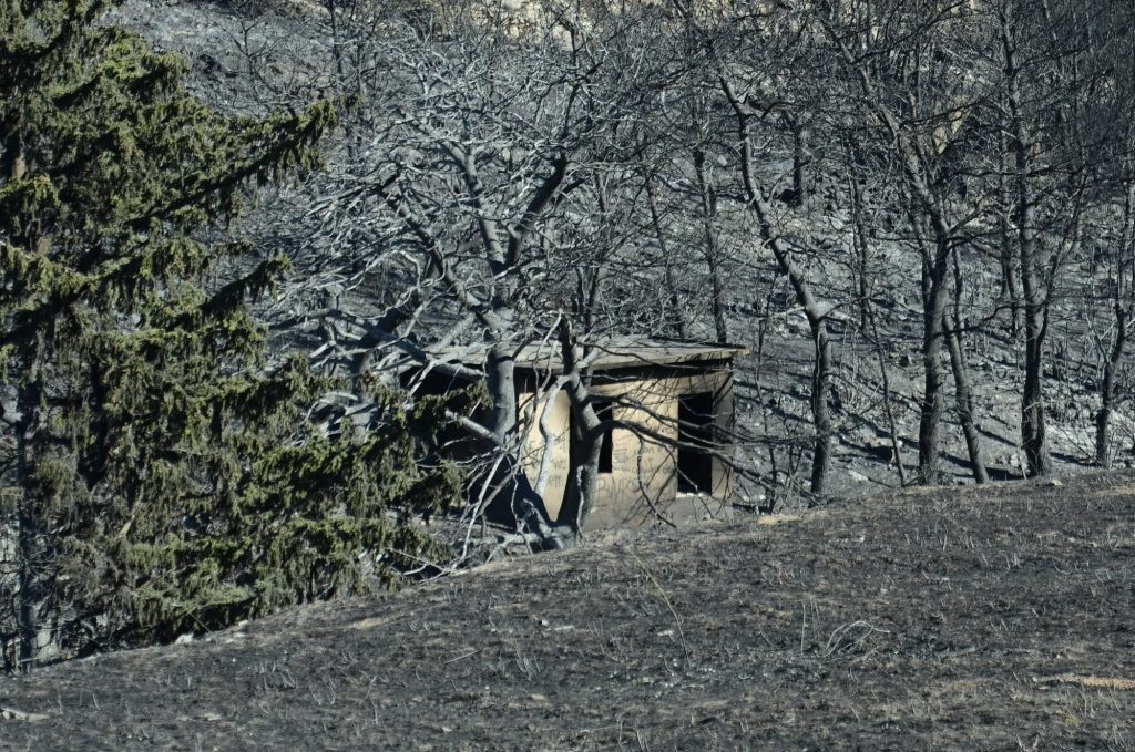 Φωτιά στην Αττική: Μάχη με αναζωπυρώσεις 