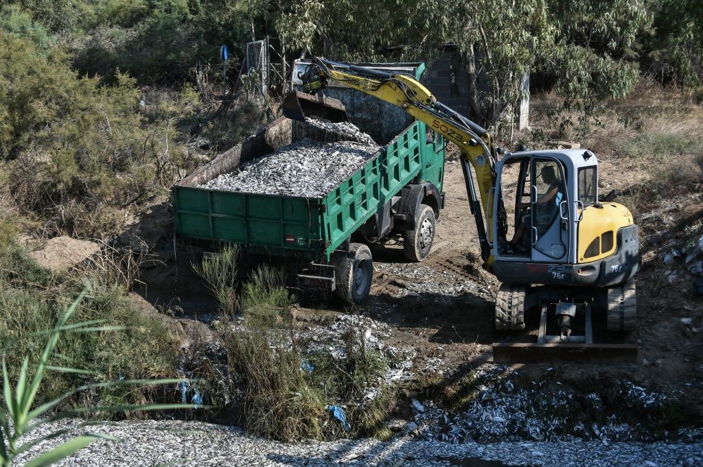 Βόλος: «Μπαλάκι» οι ευθύνες για τα νεκρά ψάρια