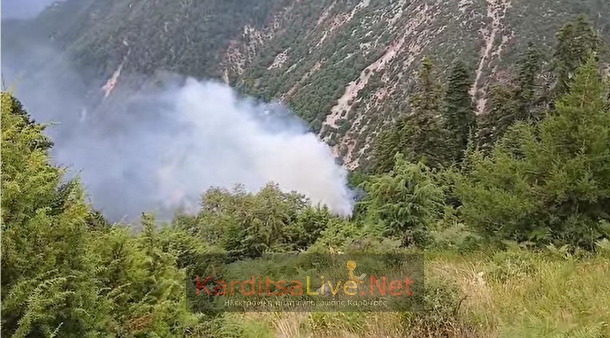 Δασική πυρκαγιά σε εξέλιξη