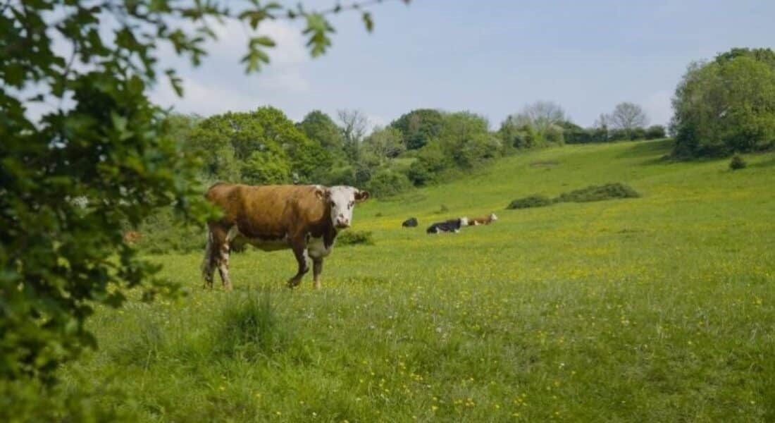 Πως ξετυλίχτηκε το κουβάρι του ΟΠΕΚΕΠΕ