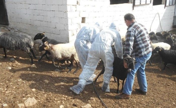 Χωρίς κρούσματα ευλογιάς στο δεύτερο μισό του Φεβρουαρίου