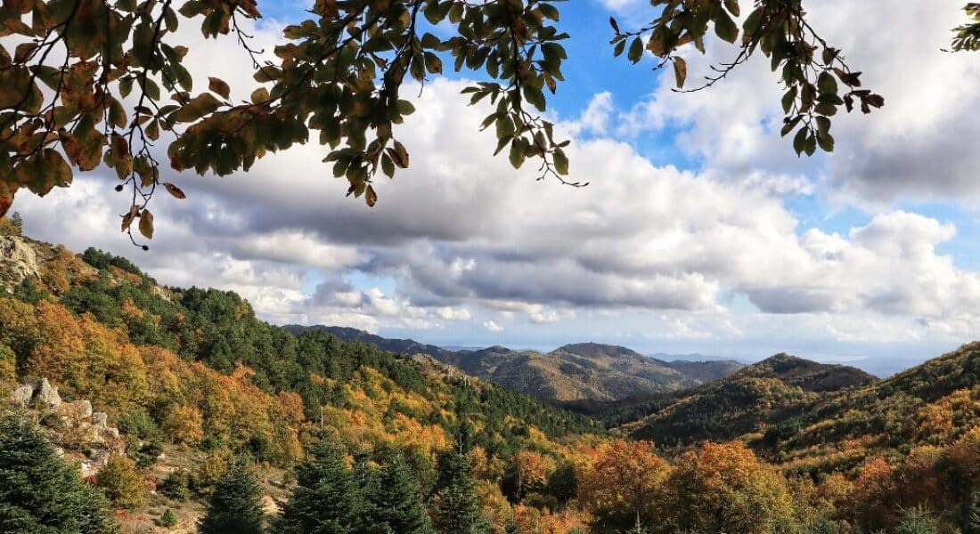 Αλλαγές στη δόμηση σε περιοχές Natura με το νέο νομοσχέδιο