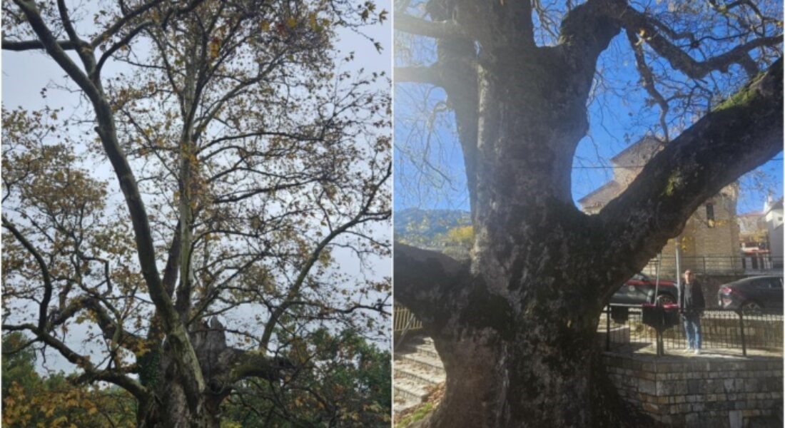 Διατηρητέα Μνημεία της Φύσης