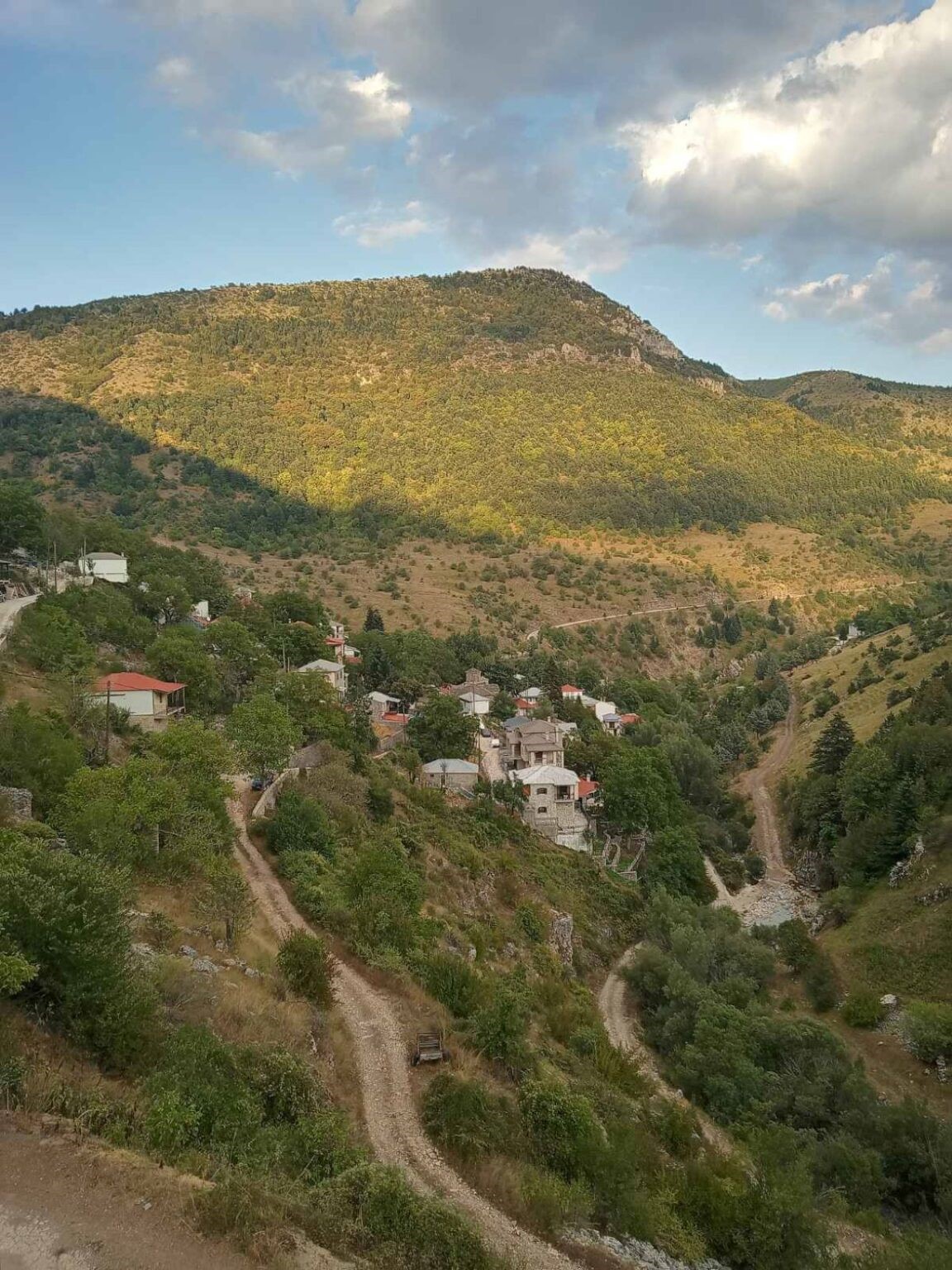 Eμφάνιση αρκούδας στο Χαλίκι Ασπροποτάμου