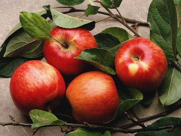 Μειωμένες αποδόσεις στα κόκκινα μήλα και χαμηλότερες τιμές