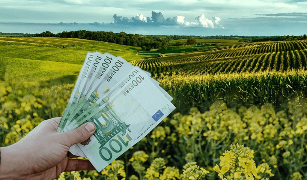 Μέχρι 80 ευρώ το στρέμμα η de minimis στη μηδική 