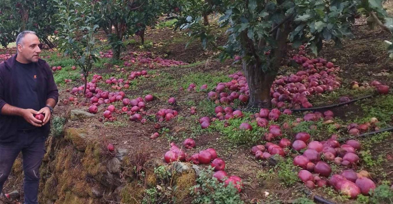 Η κλιματική αλλαγή απειλή για τις καλλιέργειες