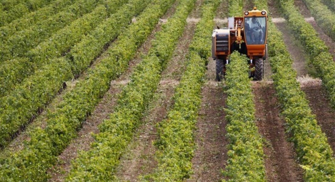 Η γραφειοκρατία παραμένει ο μεγαλύτερος αντίπαλος