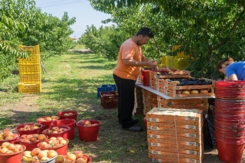 Χρυσό μετάλλιο ακρίβειας στο ελληνικό χωράφι