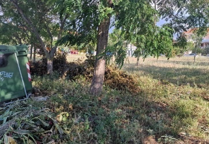 Ξεκίνησαν οι έλεγχοι της Πυροσβεστικής