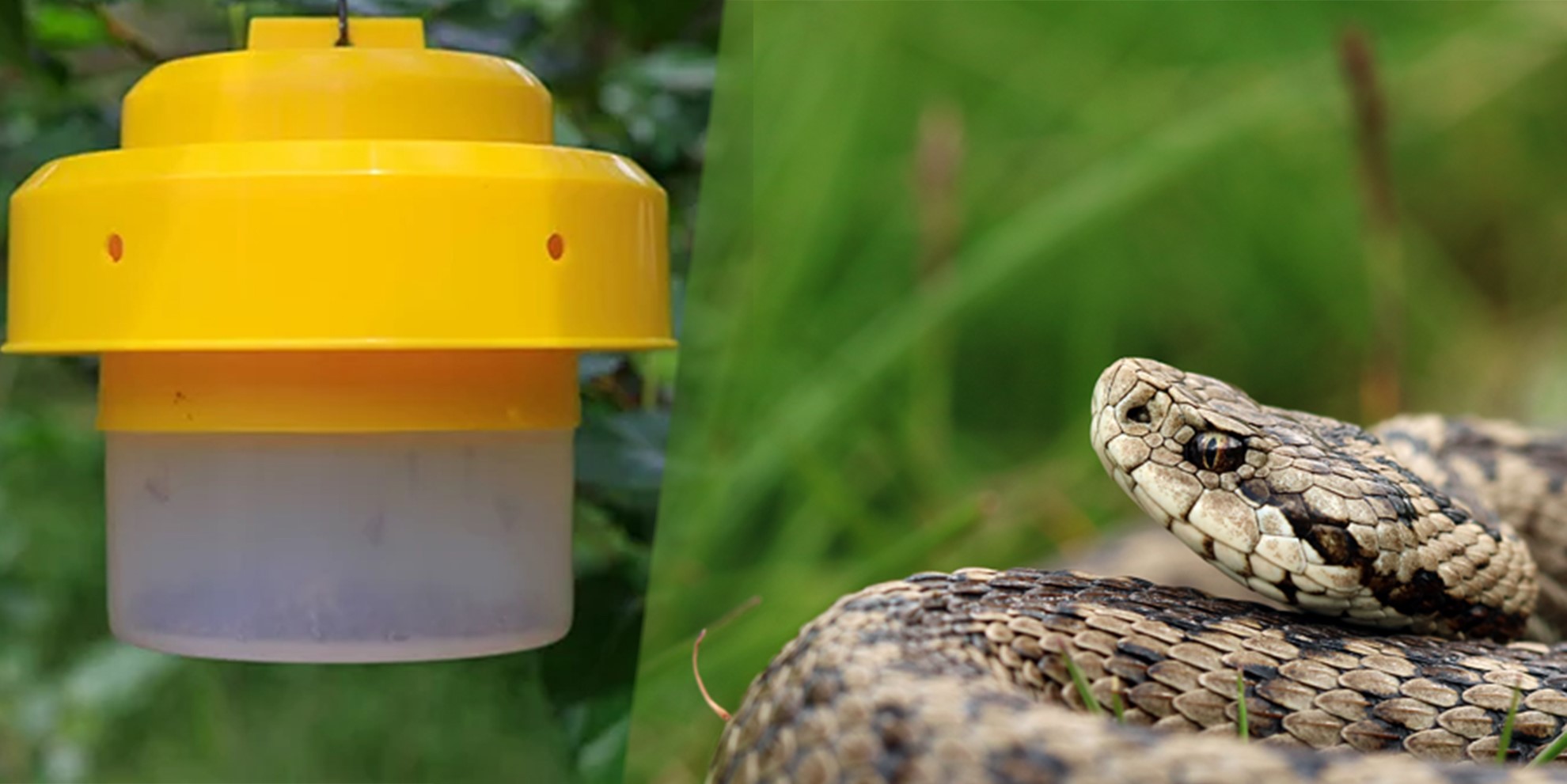 Προστασία εξοχικού και κήπου: Πώς να απαλλαγείτε από μύγες και φίδια αποτελεσματικά