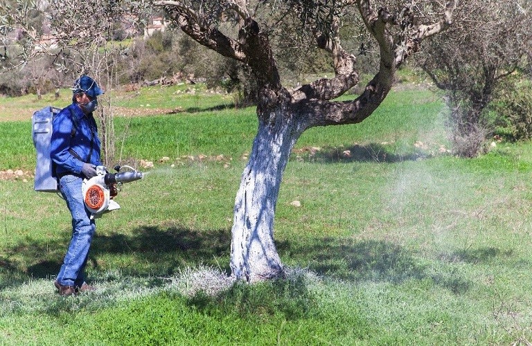 Διακοπή δακοκτονίας λόγω βροχών