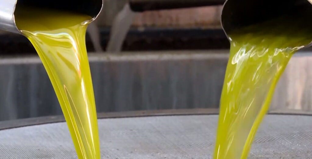 Νοθευμένο το 15% του ελαιολάδου που κυκλοφορεί στην αγορά