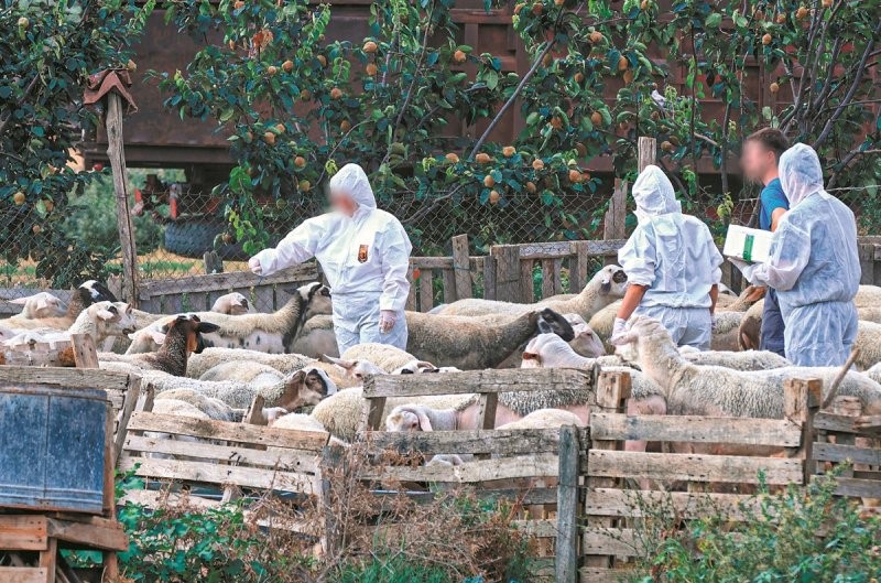 ΥΠΑΑΤ: 45 νέες προσλήψεις για την αντιμετώπιση της ευλογιάς