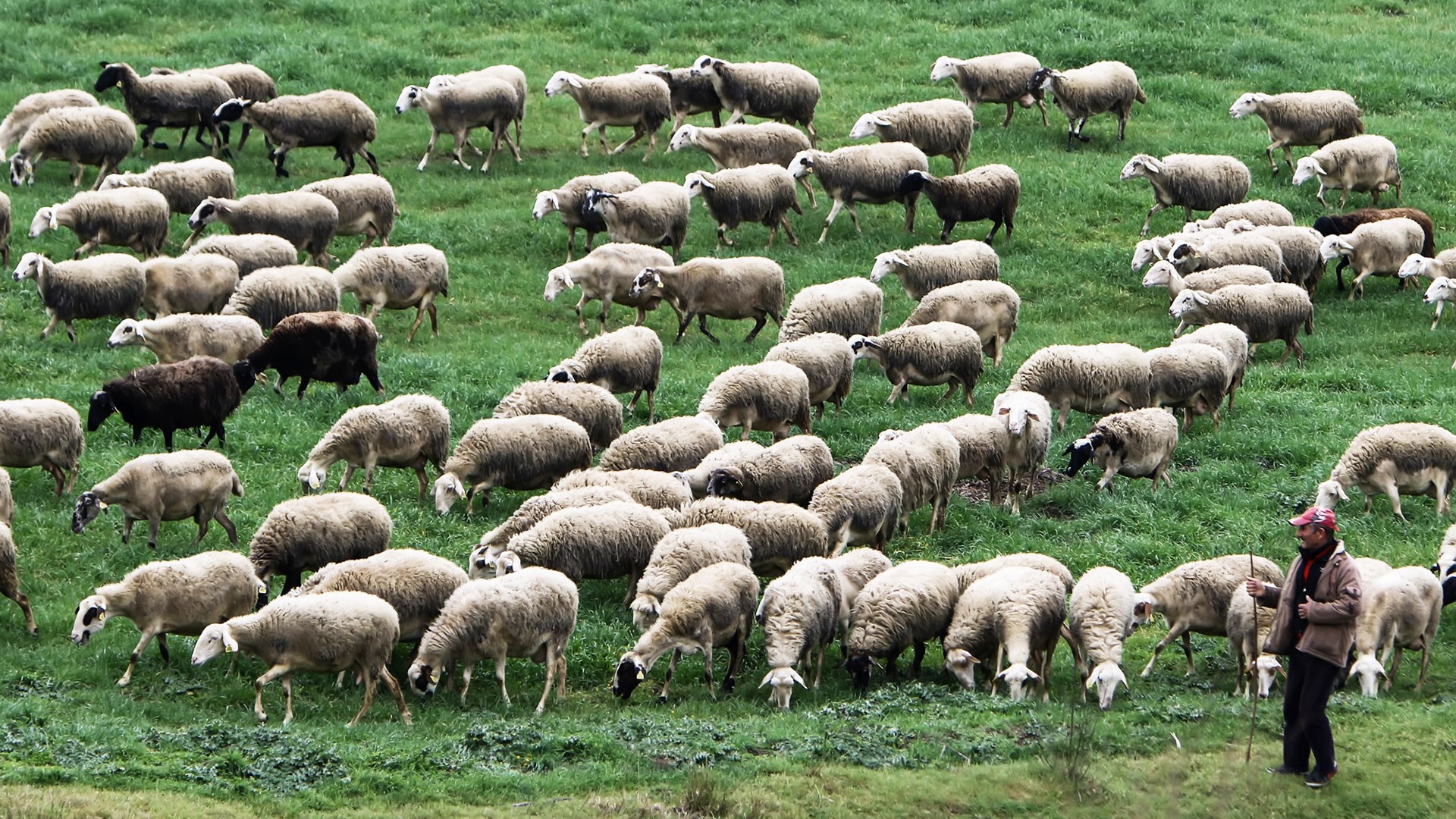 Μειώθηκε η μετάδοση, αναγκαία η επιφυλακή