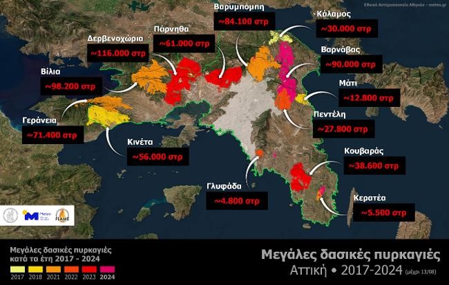 Το 37% των δασών κάηκε μέσα στα 8 τελευταία χρόνια