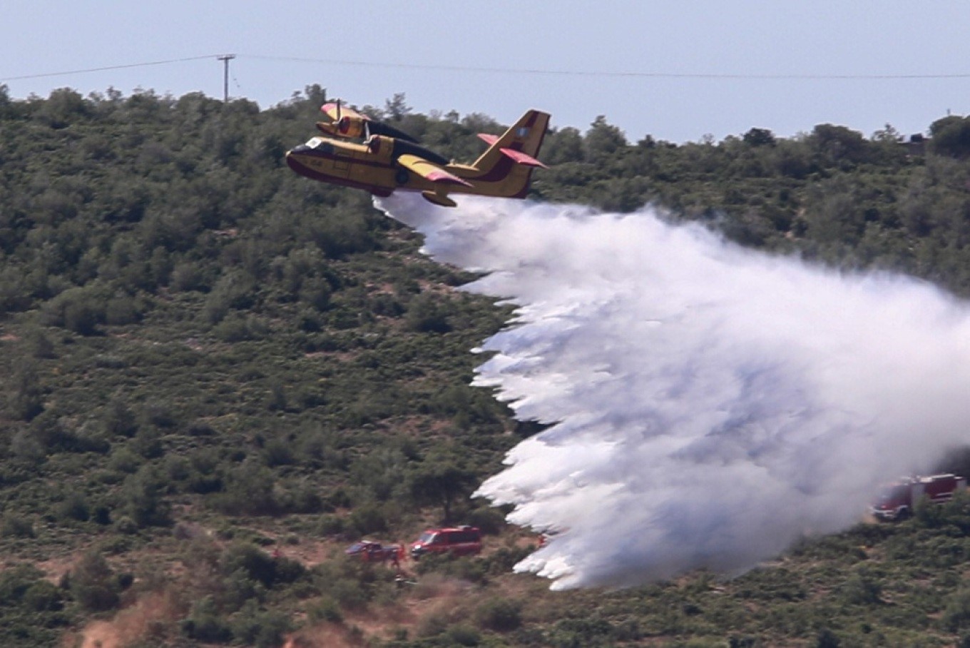 Πυρκαγιά σε χαμηλή βλάστηση στον Τύρναβο 