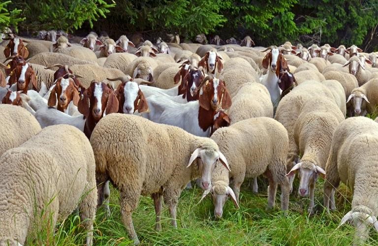 Ανακοίνωσαν συλλαλητήριο έξω από τη ΔΕΘ