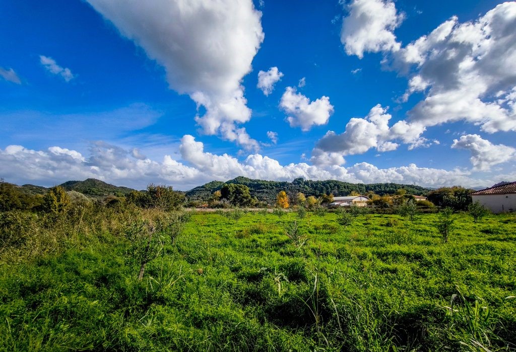 Ανοιξιάτικος σήμερα ο καιρός