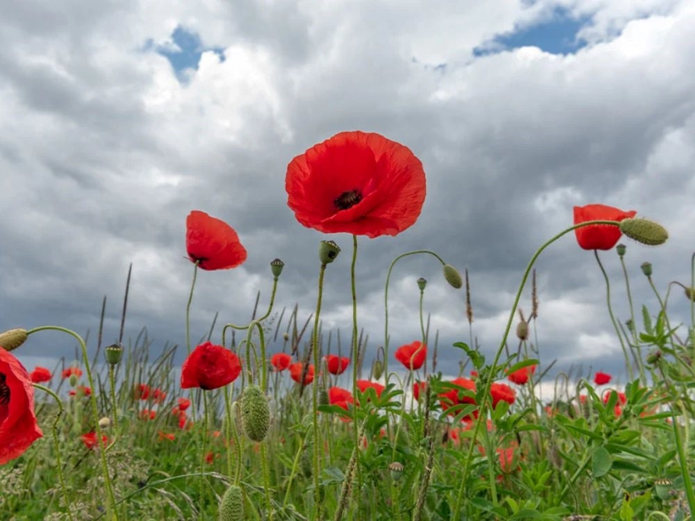 Ανοιξιάτικος ο καιρός το Πάσχα