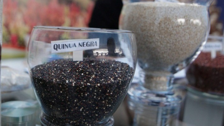 Ποιες καλλιέργειες δεν απαιτούν πολύ νερό