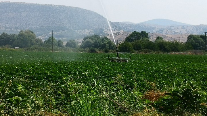 Κλιματική αλλαγή και παραγωγικότητα των εργαζομένων 