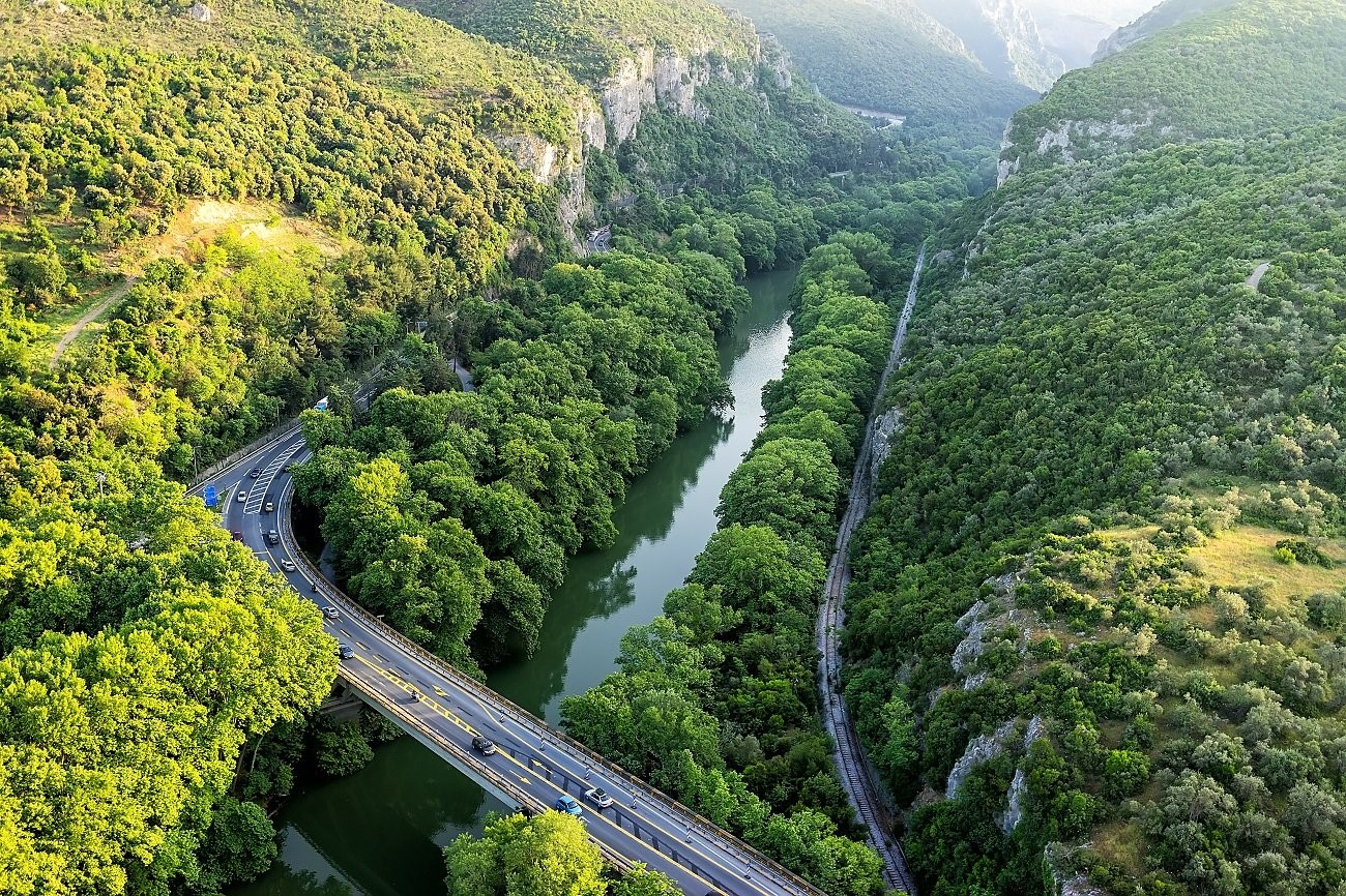 Η ασθένεια των πλατάνων έφτασε και στην κοιλάδα