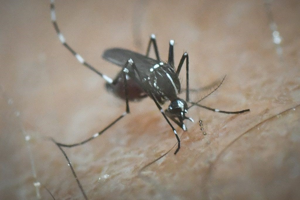 Σημαντική επιβάρυνση για τη Θεσσαλία με 29 κρούσματα