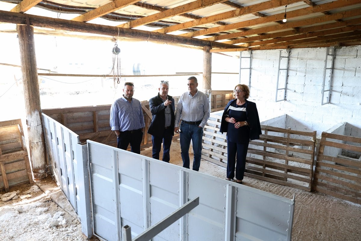 Πίεση για λύσεις σε ευλογιά και κτηνοτροφία