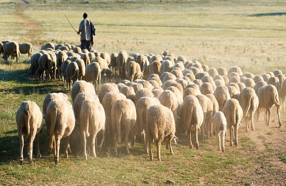Την επόμενη εβδομάδα η εξειδίκευση των μέτρων στήριξής τους