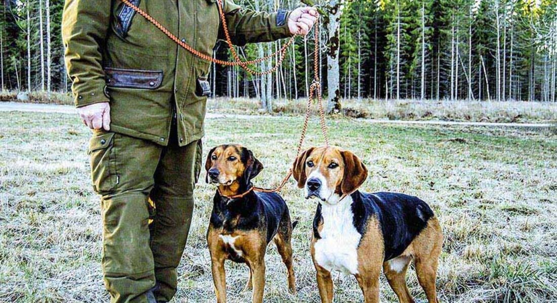 Μικρή κάμψη της ευλογιάς στη Θεσσαλία