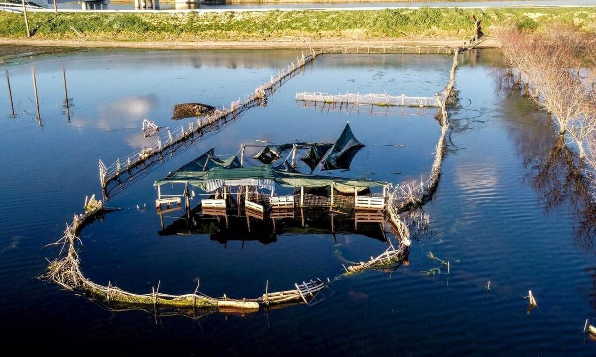 Υπό εξαφάνιση οι αγρότες έως το 2050