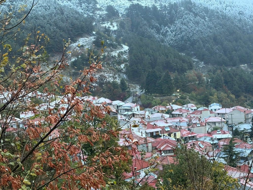 Δύο αρκούδες γυροφέρνουν στο Λιβάδι Ελασσόνας