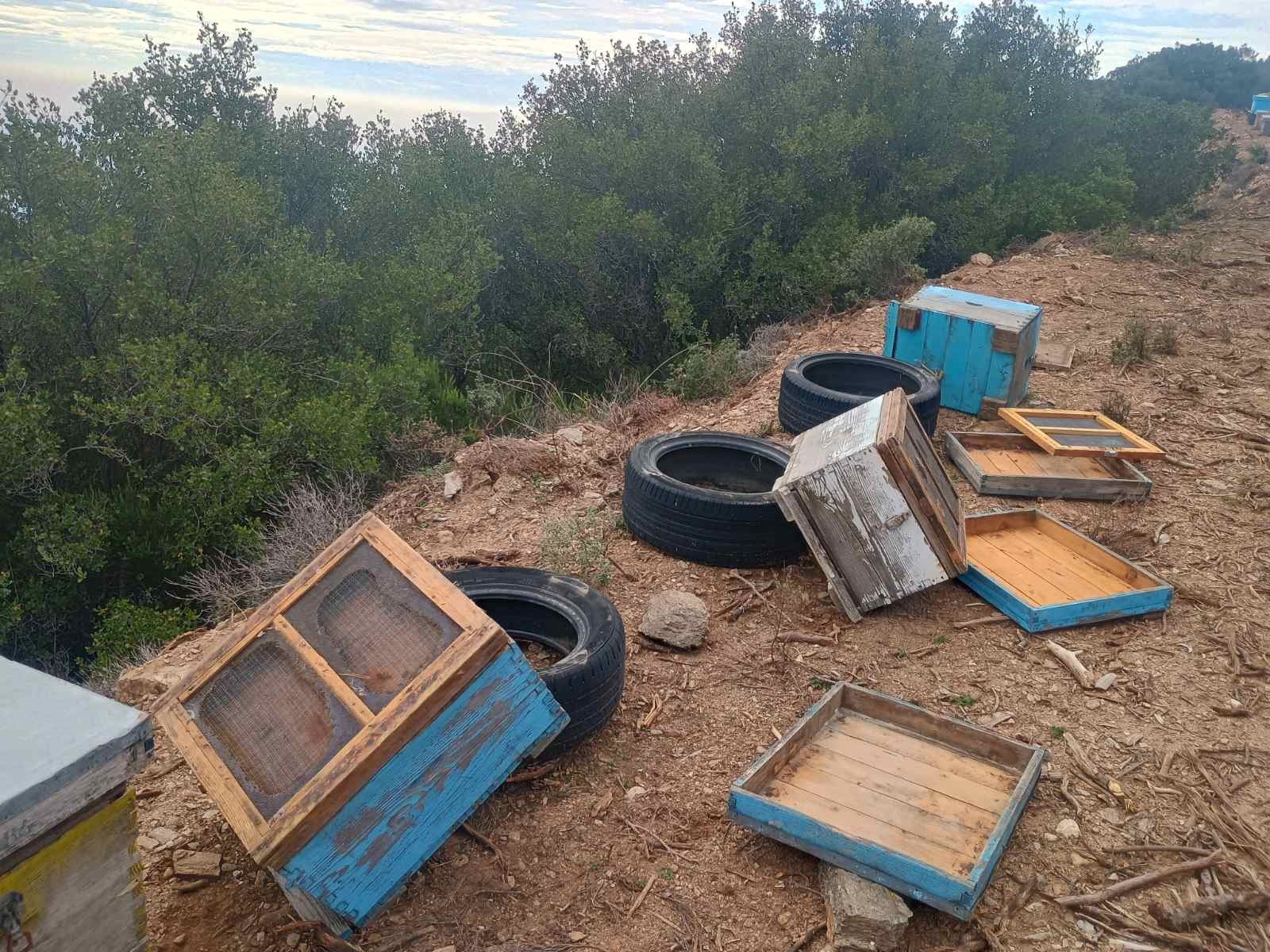 Νέες καταστροφές από αρκούδα σε κυψέλες στον Κίσσαβο