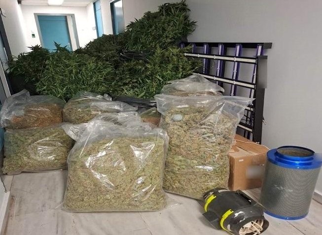 Σπείρα διακινούσε κάνναβη στη Θεσσαλονίκη