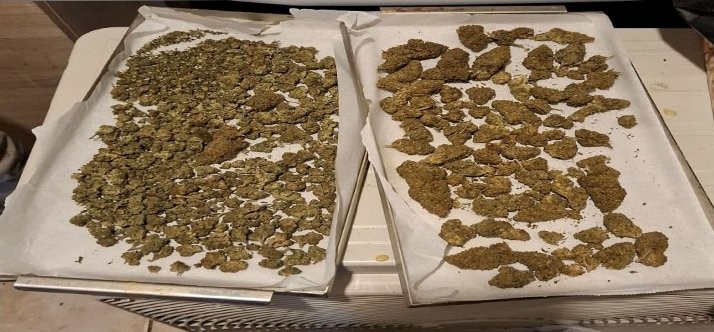 Στα χέρια της ΕΛ.ΑΣ. 22χρονος με πάνω από 1,5 κιλό κάνναβης 